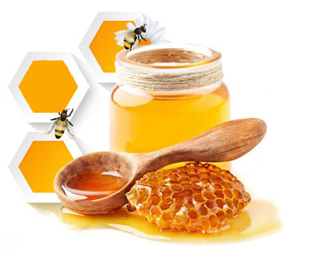 تصویر 4 از خرید عسل ارگانیک + قیمت فروش استثنایی
